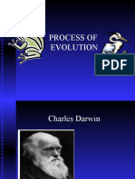 Darwin Evolution