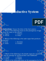 Reproductive System