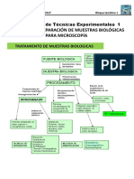 FTE 1 Micros