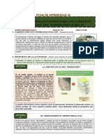 Ficha de A. - CCSS - 5°año-08-11-22