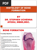 Histology of Bone Formation