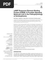 CAMP Response Element-Binding Protein (CREB) A Possible Signaling Molecule Link in The Pathophysiology of Schizophrenia