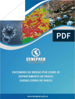 Escenario de Riesgo Por Covid 19 para La Ciudad de Cerro de Pasco Provincia y Departamento de Pasco