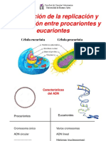 Comparación de La Replicación y Transcripción Entre Procariontes y Eucariontes