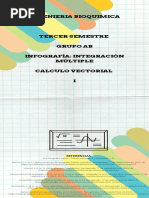 INGOGRAFIA-Integracion Multiple 