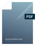 CAYA Business Plan Ab