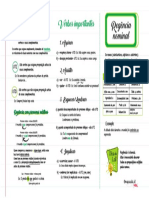 Mapa Mental Português 13 