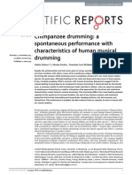 Chimpanzee Drumming A Spontaneous Performance With Characteristics of Human Musical Drumming