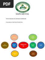 Tipos de Negocios en RD Mapa Mental