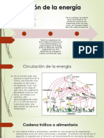 Circulacion de La Energia