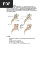 What Is Spinal Stenosis