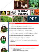 Plantas Tóxicas