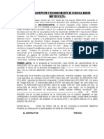 Acta de Reconocimiento de Vehiculo Menor