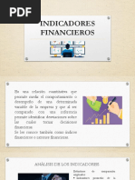 Indicadores Financieros