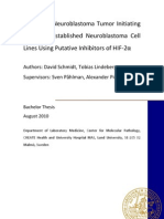 Effects on Neuroblastoma Tumor Initiating Cells and Established Neuroblastoma Cell Lines Using Putative Inhibitors of HIF-2α