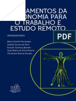 Fundamentos Da Ergonomia para o Trabalho e Estudo Remoto