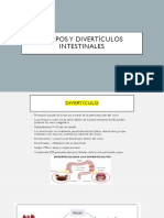 Polipos y Diverticulos