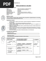 Perfiles de Puesto - Cas 002-2023