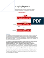 Fisiología Del Tapón Plaquetario