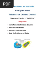 Practica La Celula