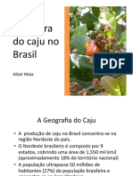 O Setor Do Caju No Brasil