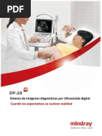 DP20 Brochure Español