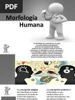 Morfologia Humana Exposicion (Autoguardado)