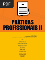 Audiovisual Praticas Profissionais II