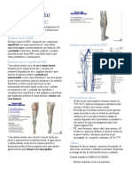 Cirugía Vascular Manual CX PUC