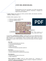 Interpretacion Del Hemograma