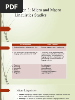 Lesson 3 Micro and Macro Linguistics