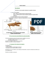 Fiche Technique Criquet