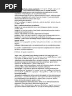 ASISE01 Tarea