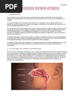 Proceso Respiratorio