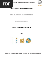 Mapa Conceptual Proteinas