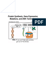 Protein Synthesis Notes