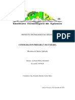 Tarea 2.2 Consolidacion Primaria y Secundaria