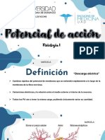 Potencial de Accion