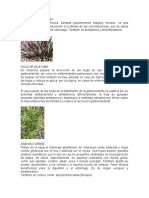 Plantas