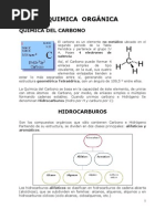 Quimica Organica