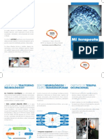 Triptico Neuroterapia Ocupacional