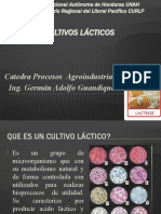 Cultivo Lactico