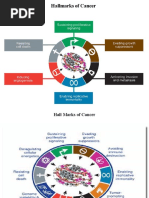 2nd PPT Growth Factors and Receptors