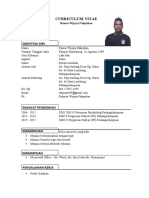 Curriculum Vitae