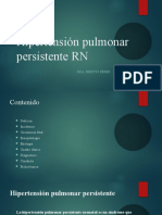 Hipertensión Pulmonar Persistente