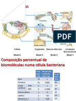 BIOMOLÉCULAS