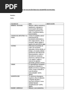 Pautas de Evaluación Áreas Del Desempeño Ocupacional