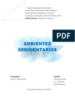 Análisis Ambientes Sedimenarios 