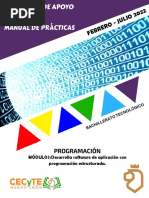 Programación Módulo I - 206 Páginas