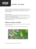 PDF Documento